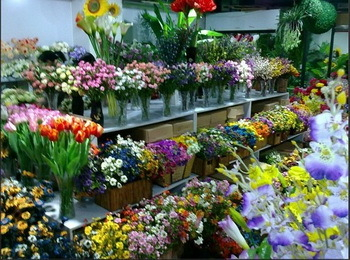 H.I.S.北京支店のブログ