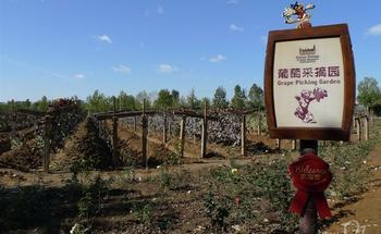 H.I.S.北京支店のブログ