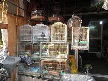 H.I.S.上海支店