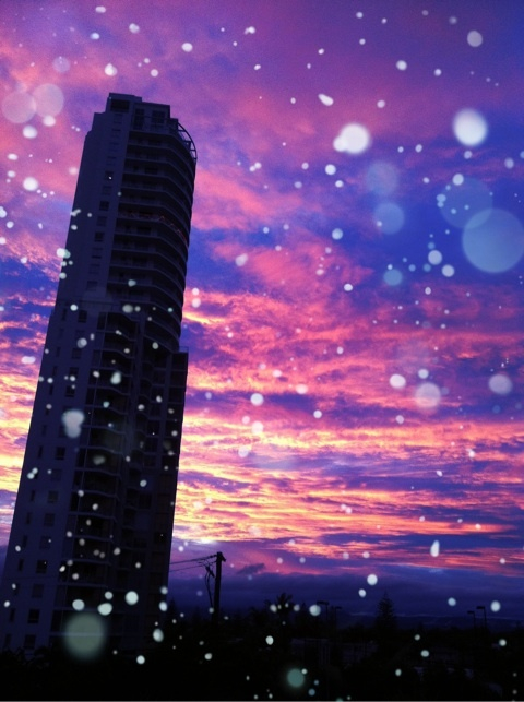 photo:11