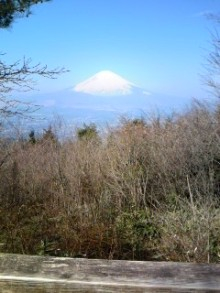 “自然を楽しむ”エコなブログ