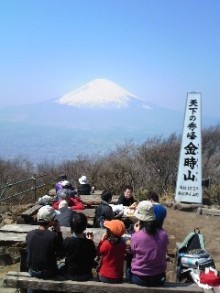 “自然を楽しむ”エコなブログ