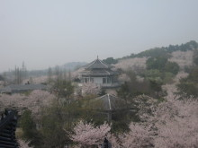 H.I.S.上海支店