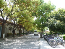 H.I.S.上海支店