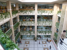 H.I.S.上海支店