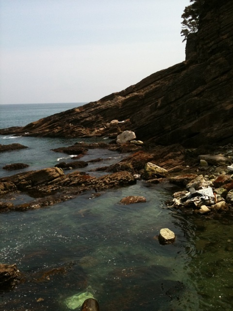 photo:02