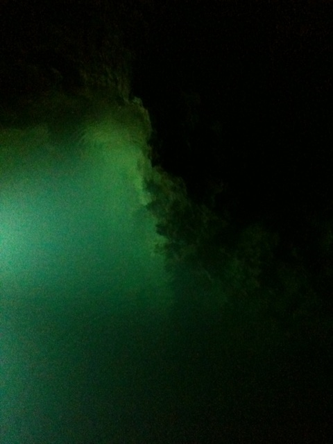 photo:11