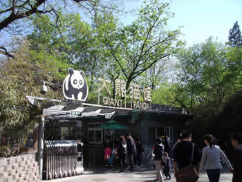 H.I.S.北京支店のブログ