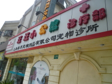 H.I.S.上海支店