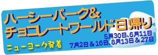 H.I.S. ニューヨーク支店便り