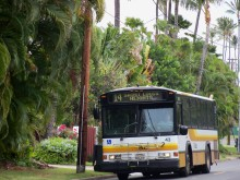 H.I.S. ホノルル支店 ☆ LeaLeaブログ　　　　　　　　　　　　　　　　　　　　　　　ハワイのコネタ♪-Bus 14 #2
