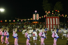 “自然を楽しむ”エコなブログ-阿波踊り