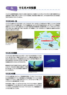“自然を楽しむ”エコなブログ-ウミガメ生態