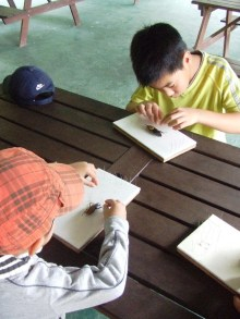 “自然を楽しむ”エコなブログ-標本