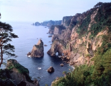 “自然を楽しむ”エコなブログ-北山崎