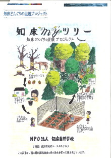 “自然を楽しむ”エコなブログ-どんぐりプロジェクト