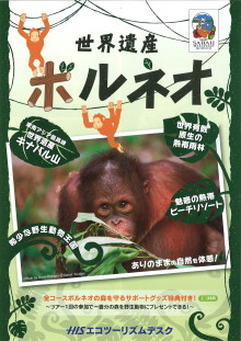 “自然を楽しむ”エコなブログ