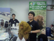 “自然を楽しむ”エコなブログ