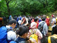 “自然を楽しむ”エコなブログ-縄文杉混雑日