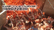 H.I.S.フランクフルト支店便り