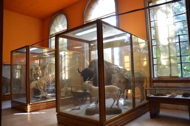 H.I.S.イタリア支店　♪カプチーノ天国♪-MUSEO_SCIENZA_06