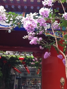 H.I.S.北京支店のブログ