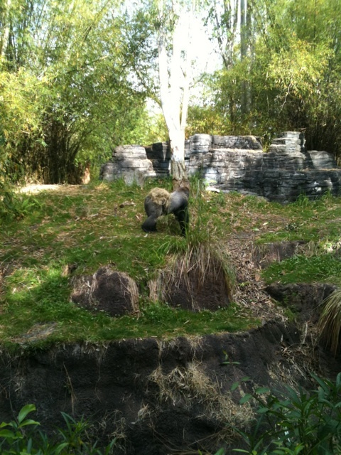 photo:03