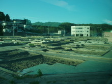 “自然を愛する”エコなブログ