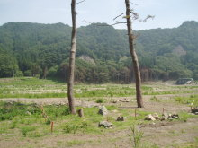 “自然を愛する”エコなブログ