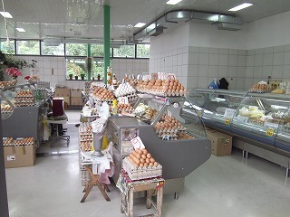 エイチ・アイ・エスミュンヘン支店便り