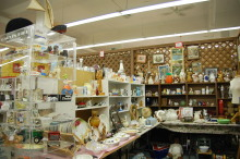 H.I.S.トロント支店  メープルライフ♪