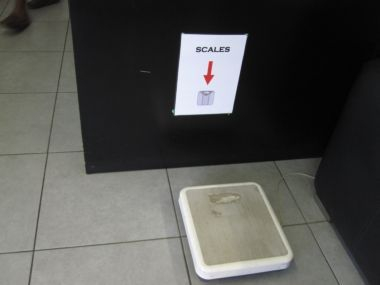 H.I.S.フィジー支店☆憧れの南太平洋ブラ Blog-8/22
