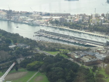 H.I.S.シドニー支店～みなと街ブログ～