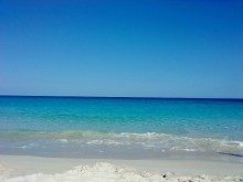 H.I.S.ホノルル支店☆LeaLeaブログ　　　　　　　　～We Love Hawaii～