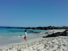 H.I.S.ホノルル支店☆LeaLeaブログ　　　　　　　　～We Love Hawaii～