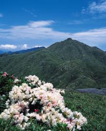 “自然を愛する”エコなブログ-宮之浦岳