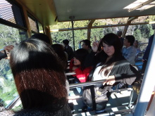 H.I.S.シドニー支店~みなと街ブログ~