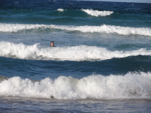 H.I.S.シドニー支店~みなと街ブログ~