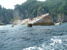 “自然を愛する”エコなブログ