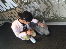 H.I.S.シドニー支店~みなと街ブログ~