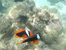 沖縄 美ら海ブログ