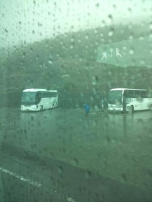 “自然を愛する”エコなブログ