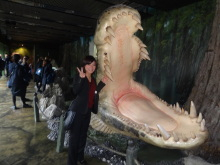 H.I.S.シドニー支店~みなと街ブログ~