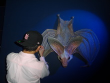 H.I.S.シドニー支店~みなと街ブログ~