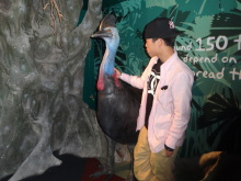 H.I.S.シドニー支店~みなと街ブログ~