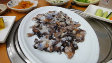 H.I.S.ソウル支店BLOG