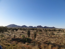 H.I.S.シドニー支店~みなと街ブログ~