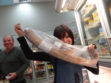 H.I.S.シドニー支店~みなと街ブログ~