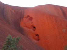 H.I.S.シドニー支店~みなと街ブログ~