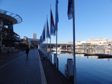 H.I.S.シドニー支店~みなと街ブログ~